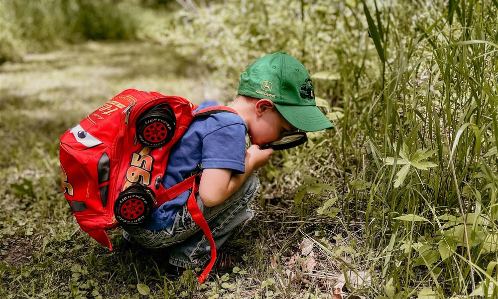 Foto di Hannah Grapp; Pexels